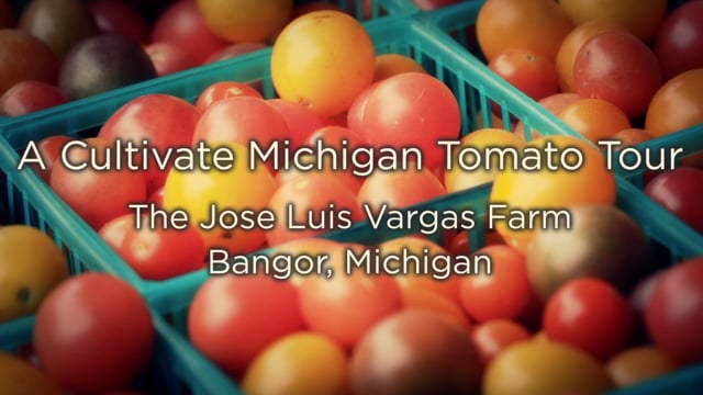 A Tomato Tour Edit with Cultivate Michigan