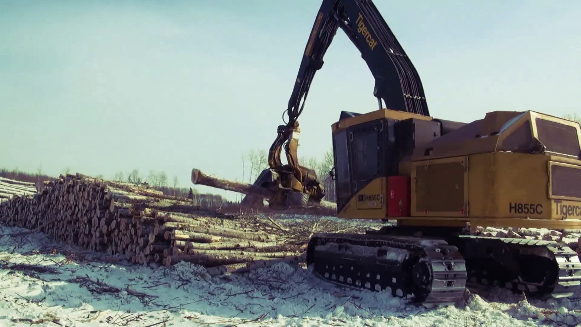 Roadside Processing | Tigercat Forestry | Tigercat TV