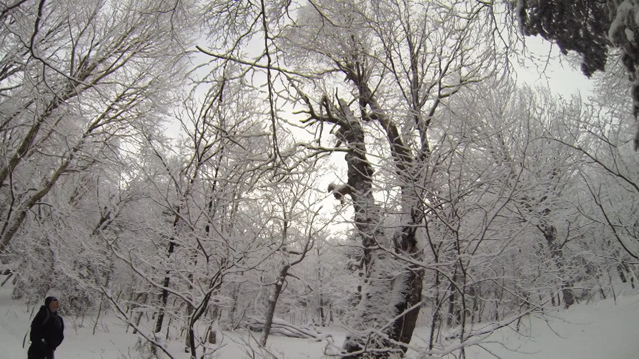 Cap Gribane 2013 on Vimeo