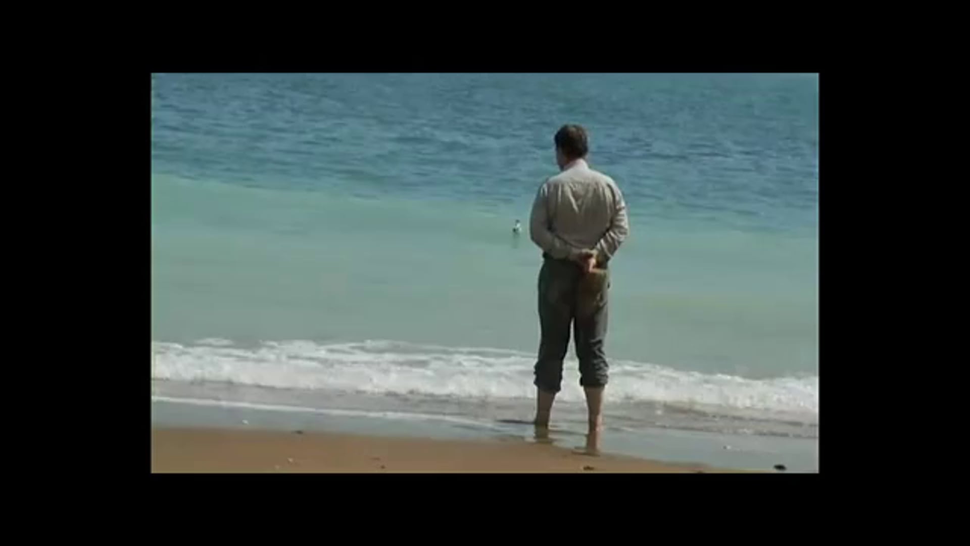 El reino de Calibán/Caliban´s Kingdom