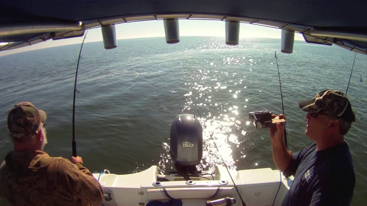 Striper Fishing 30 pounder Delaware Bay Fortescue NJ on Vimeo