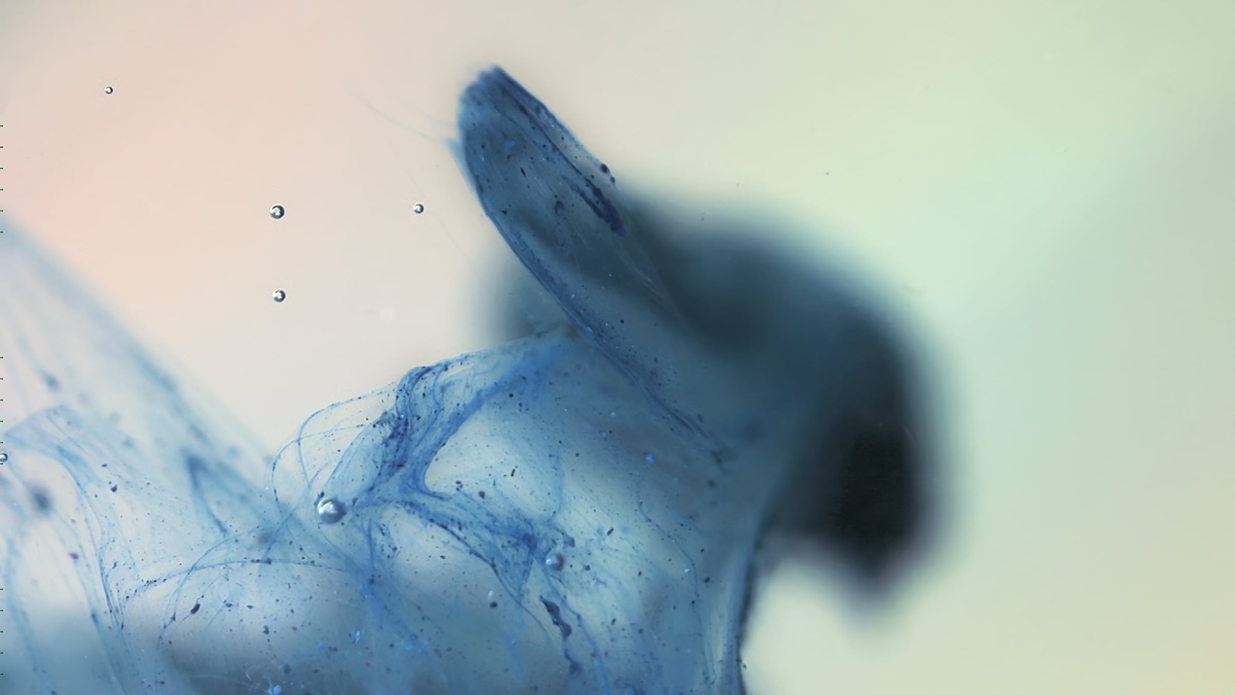 Macro Animation - Animating Pigment in Linseed Oil | Videos & Movies on ...