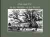 Rocky Hills Lecture Series: Oak & Us