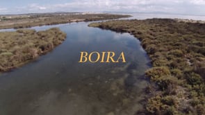 Boira