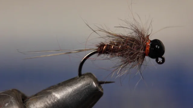 Video: How to Tie the Pheasant Tail Euro Nymph - Orvis News