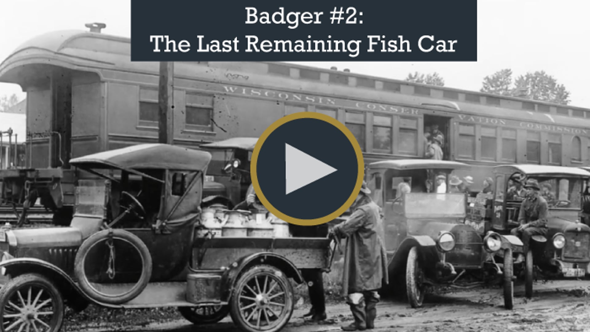 Badger #2: The Last Remaining Fish Car