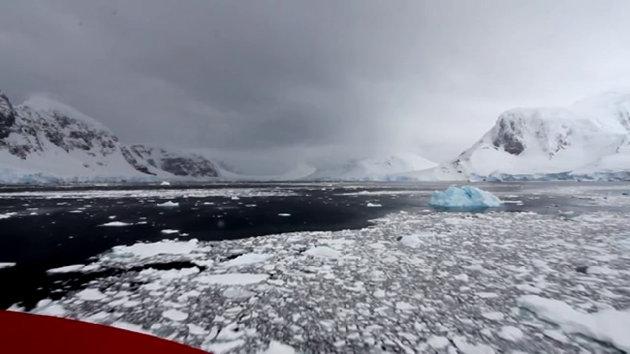 April Surgent 64º South Antarctic Loop 1/2