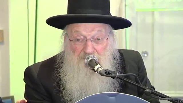 Rav Matisyahu Salomon Shlita