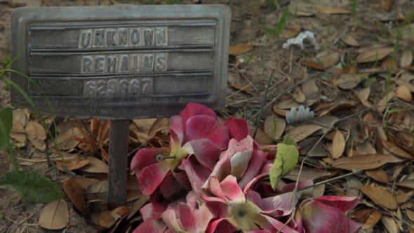 Unknown Remains