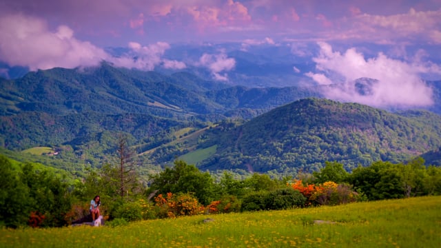 Asheville Independent Restaurant Association – Taste of Asheville