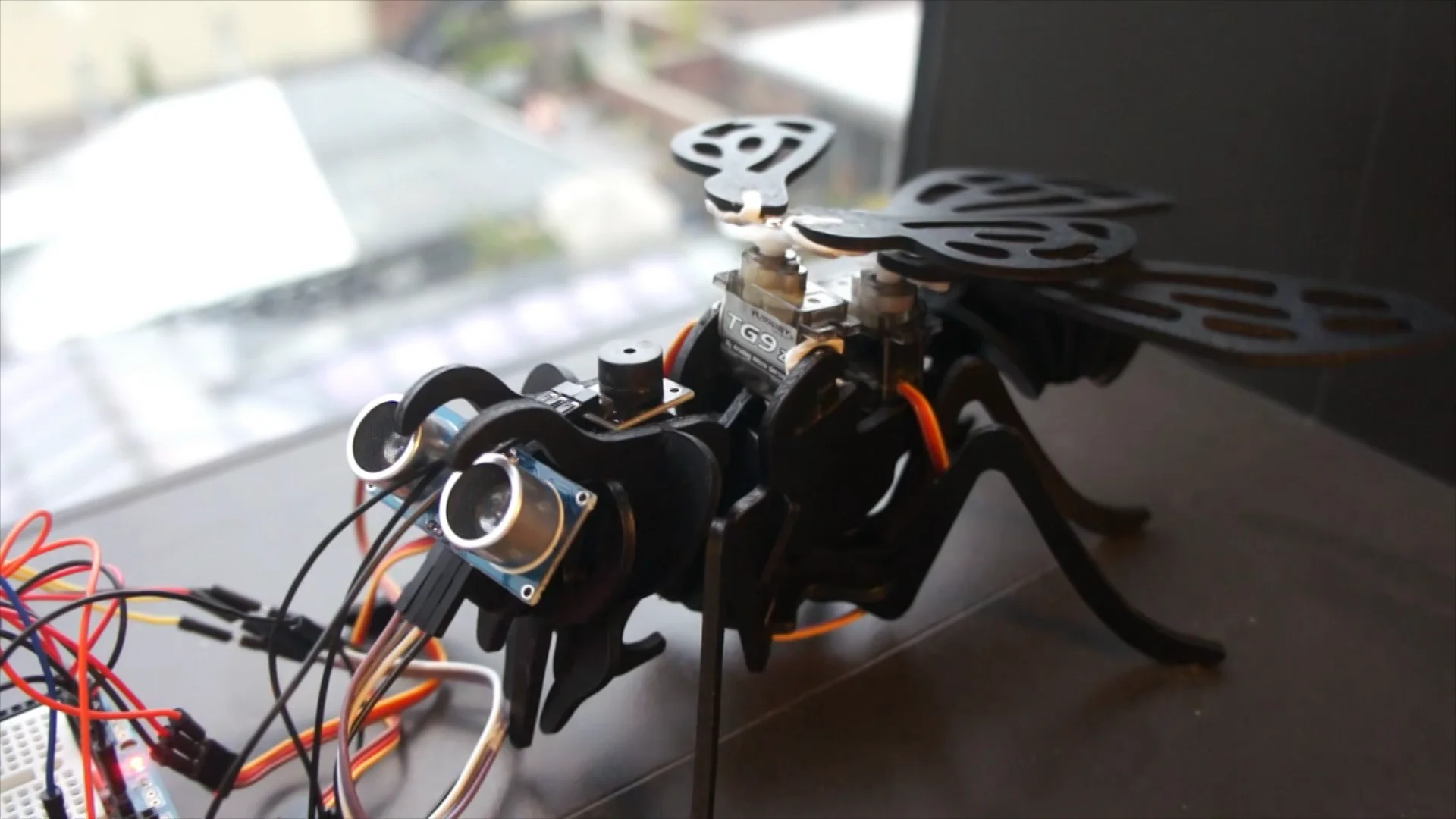 bee on Vimeo