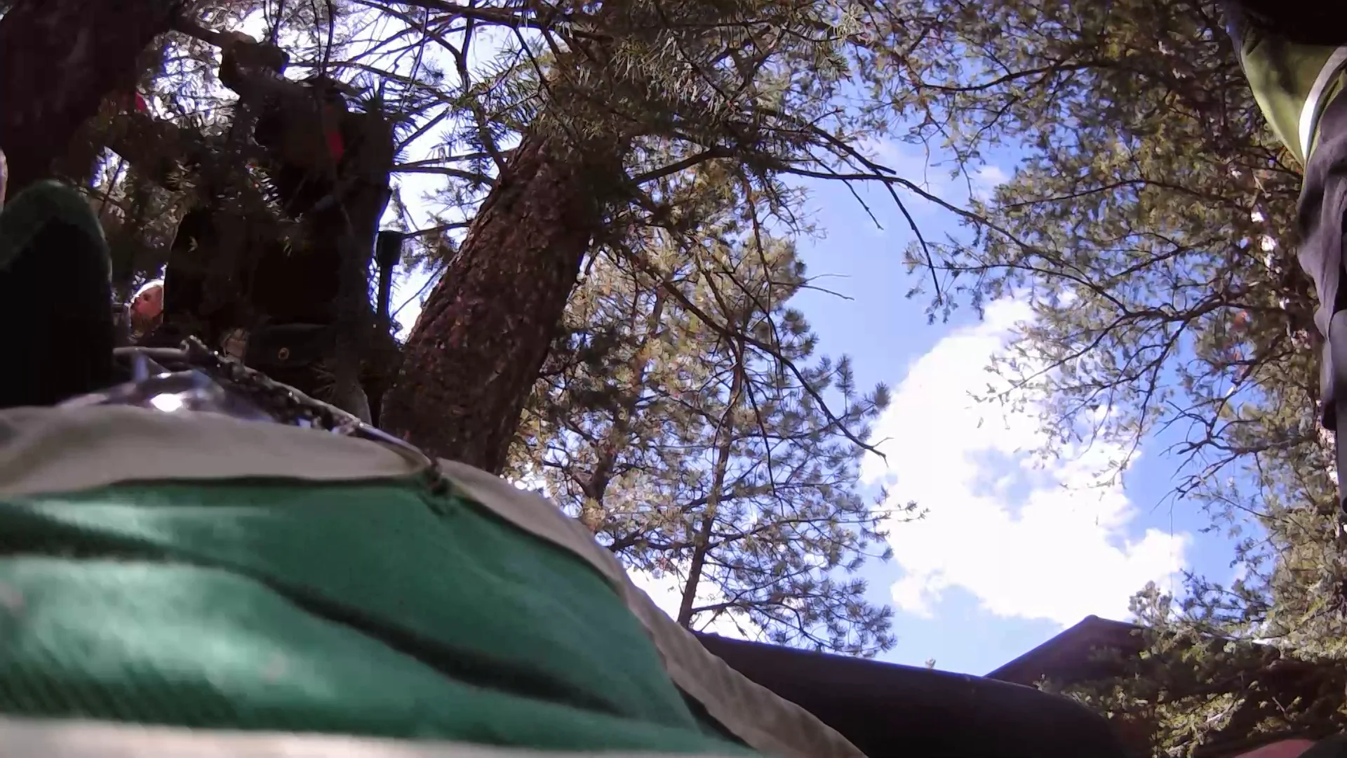 FILE0043 on Vimeo
