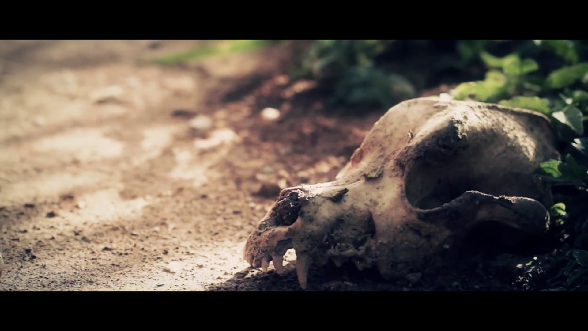 Los Malos que Muerden (The Mean Biters)