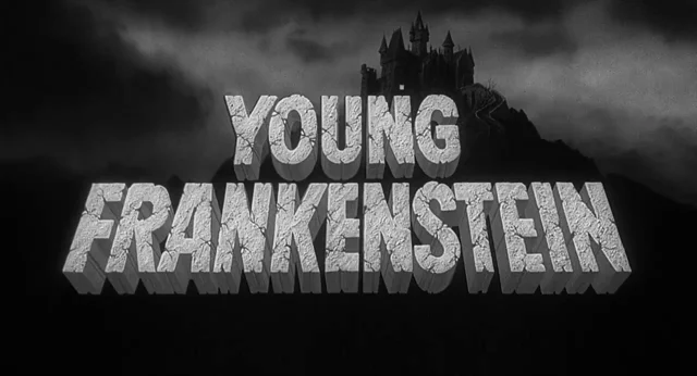 Young Frankenstein (1974) - IMDb