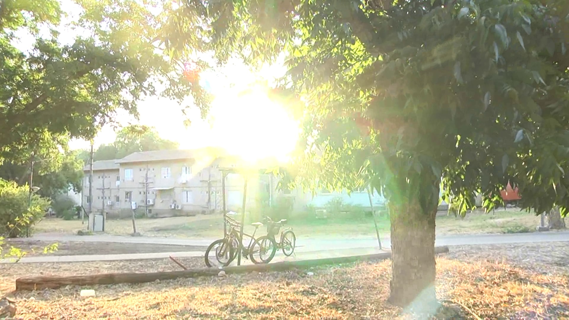 סרט משפחת ליש | פתיחה