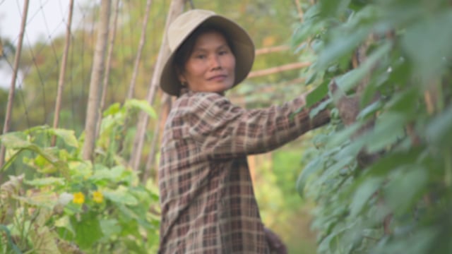 Empowering women in Vietnam