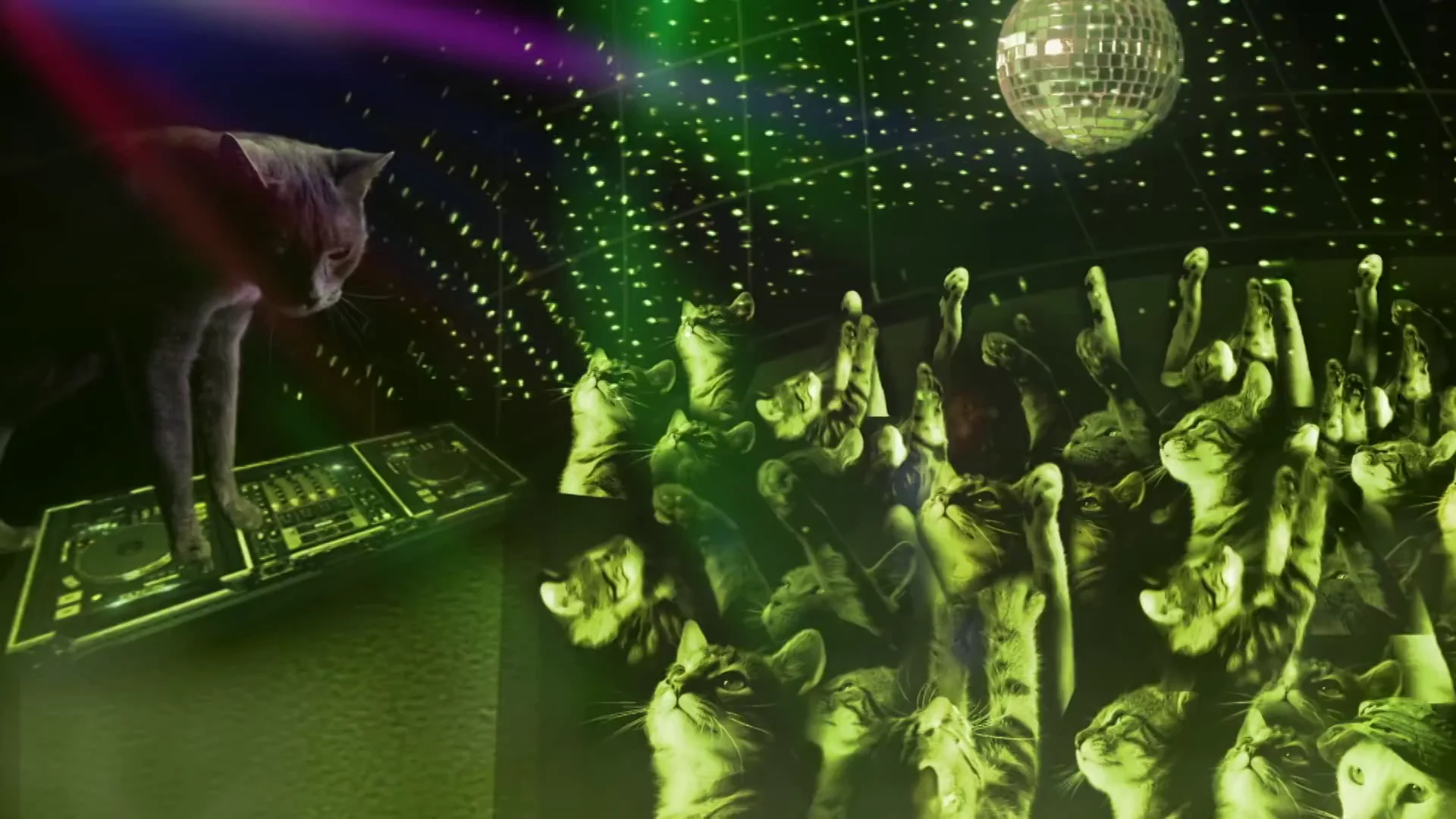 Meow 2025 mix rave