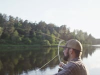 pike fly