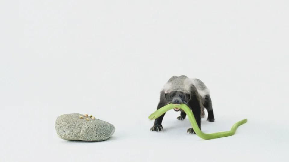 Wonderful Pistachios Honey Badger on Vimeo