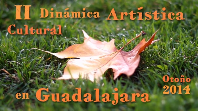 Dinámica Artística Cultural