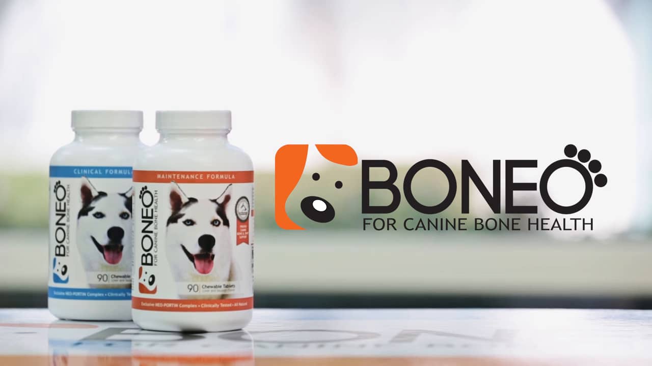 Natural Bone and Joint Supplement for Dogs (How it Works) Boneo