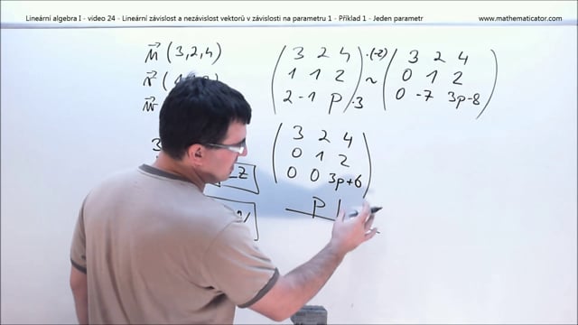 Lineární algebra I - video 24 - Lineární závislost a nezávislost vektorů v závislosti na parametru 1 - Příklad 1 - Jeden parametr