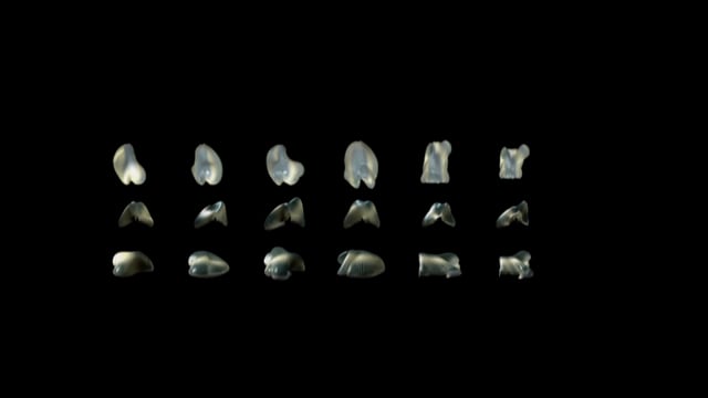 Embryological House in Greg Lynn FORM on Vimeo