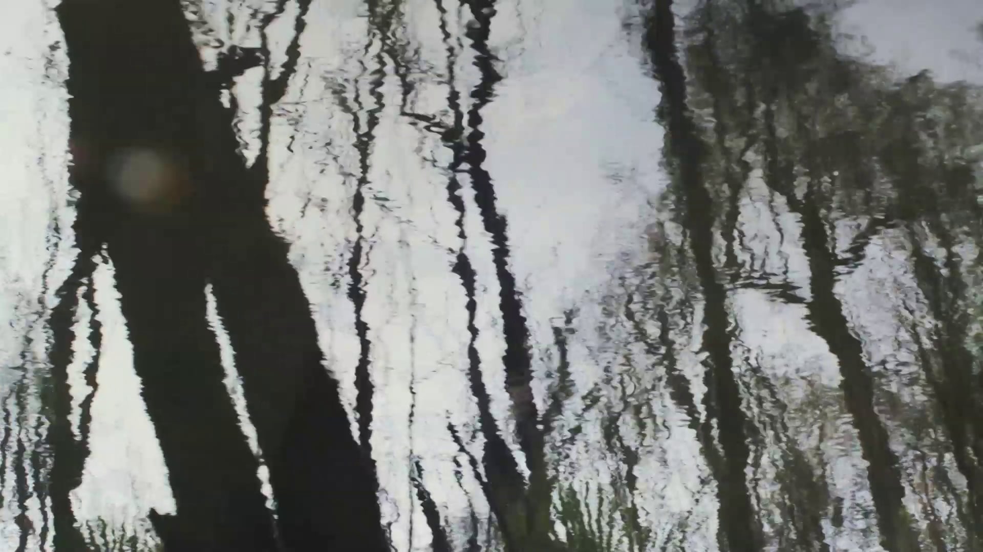 Swamp Song