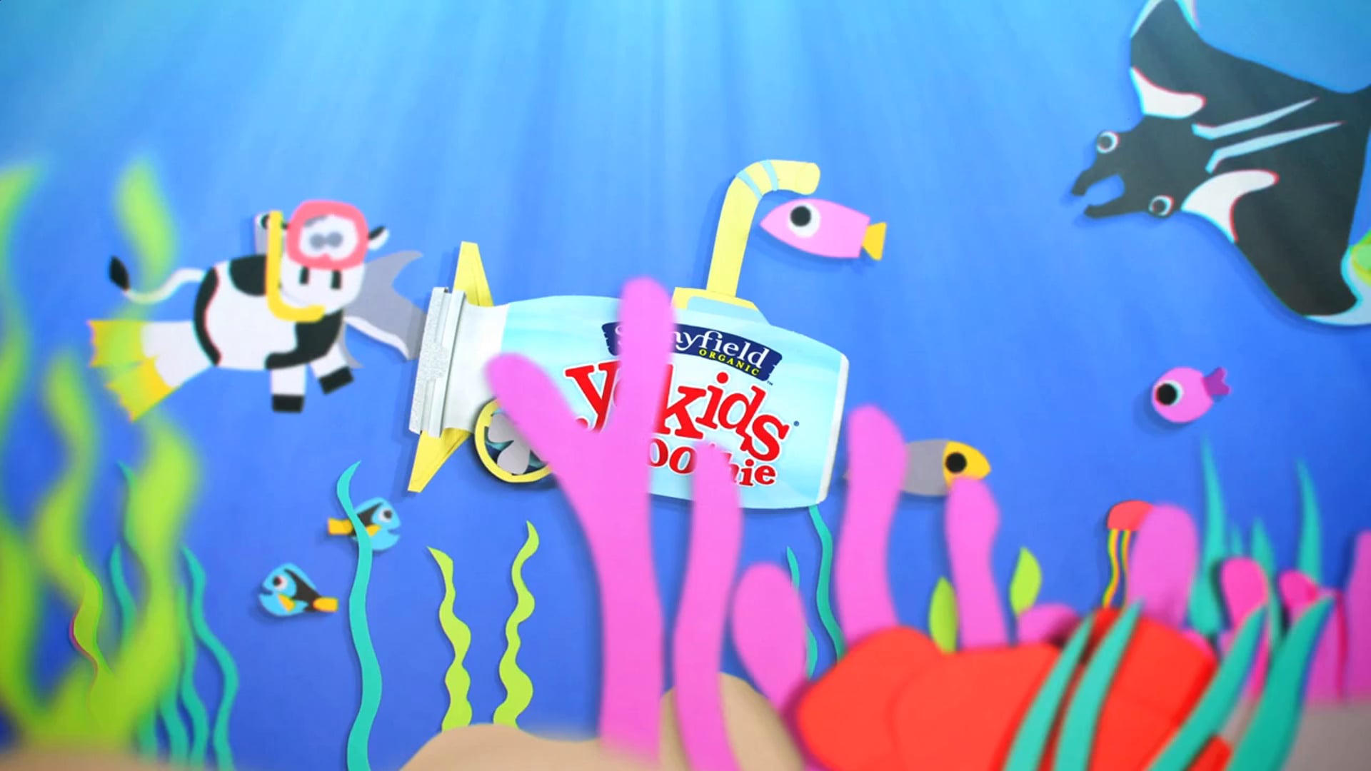 Stonyfield Yokids Yogurt