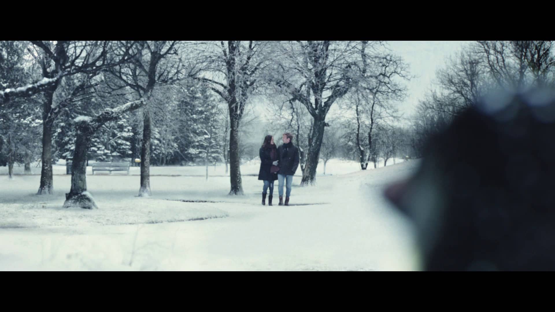 Montys christmas john lewis