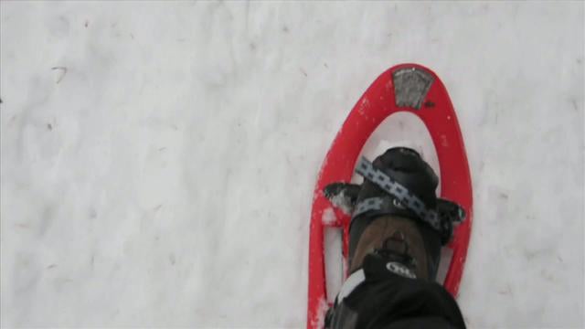 Sneeuwschoen-lopen