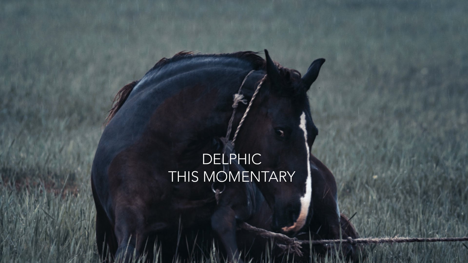 DELPHIC 'This Momentary'