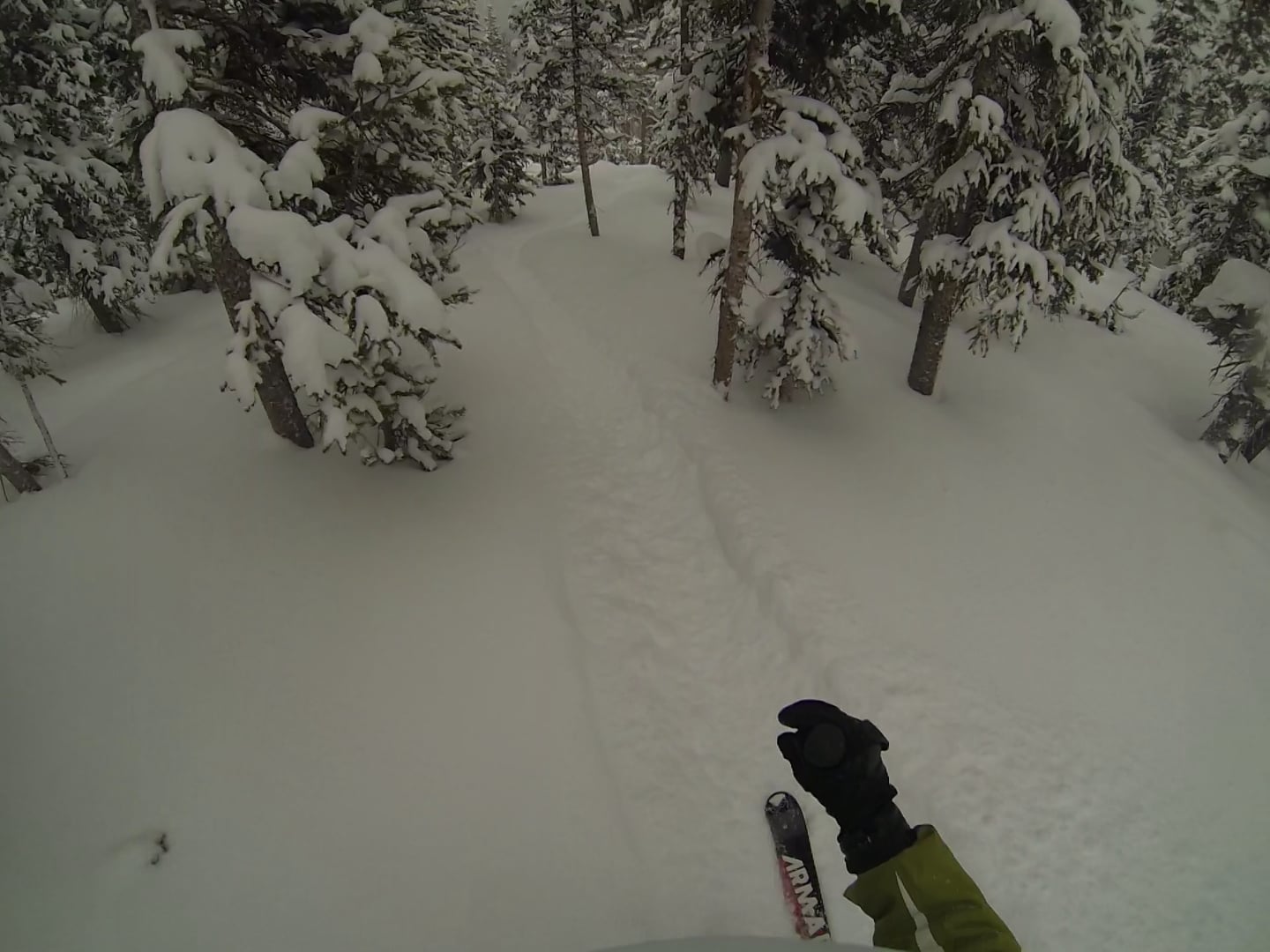 Topher's trees - MJ, Winter Park CO 2013 on Vimeo