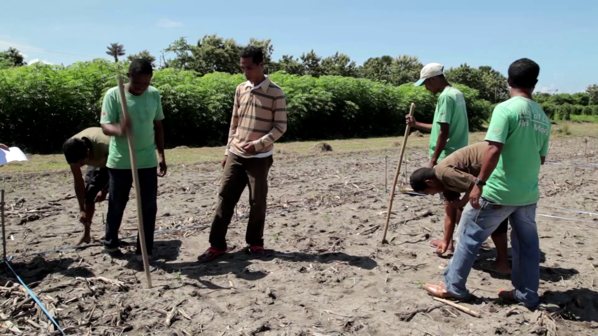 TIMOR LESTE | Food Bowl