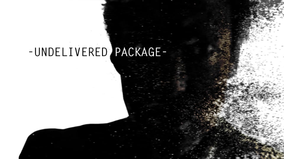 -Undelivered Package-