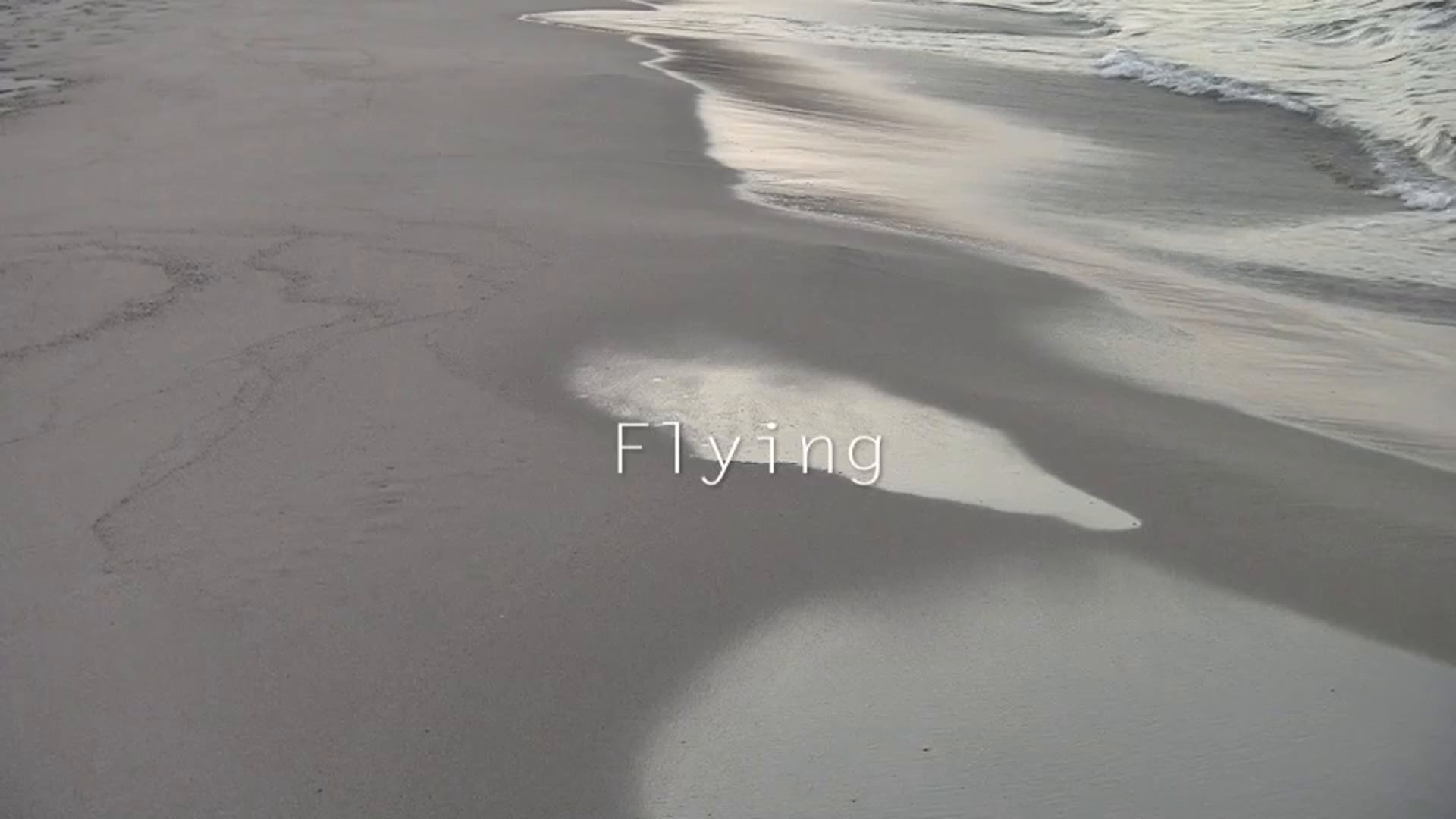 Flying