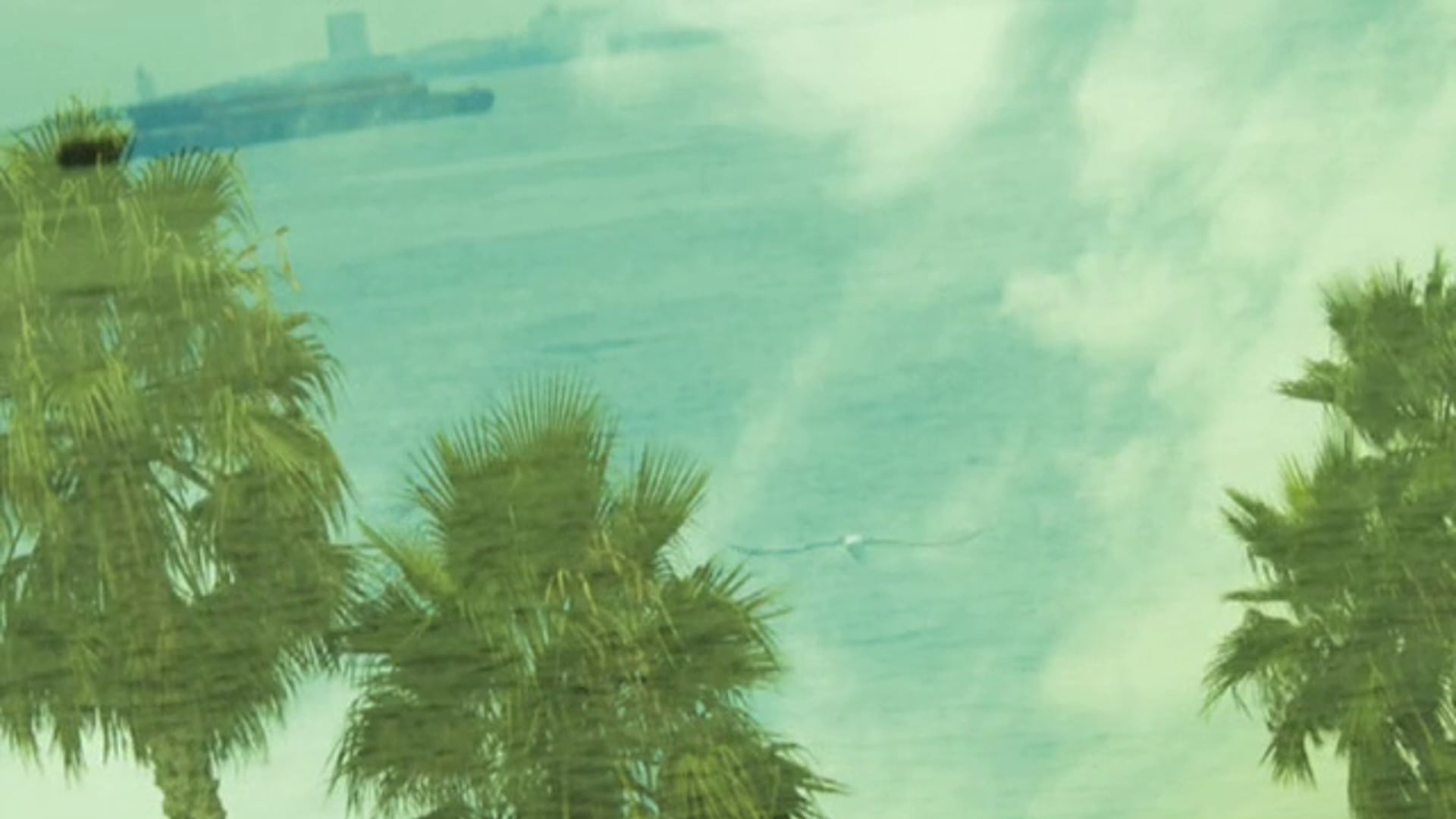 Brillia_ariake_sky_tower_movie__green