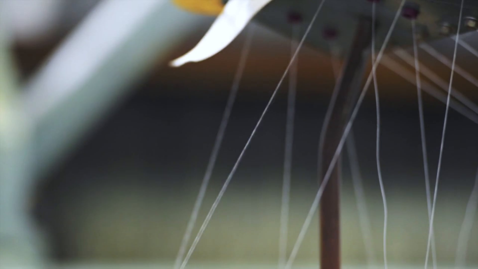 core:zo_seiwa_nekutai / ongl_kougei