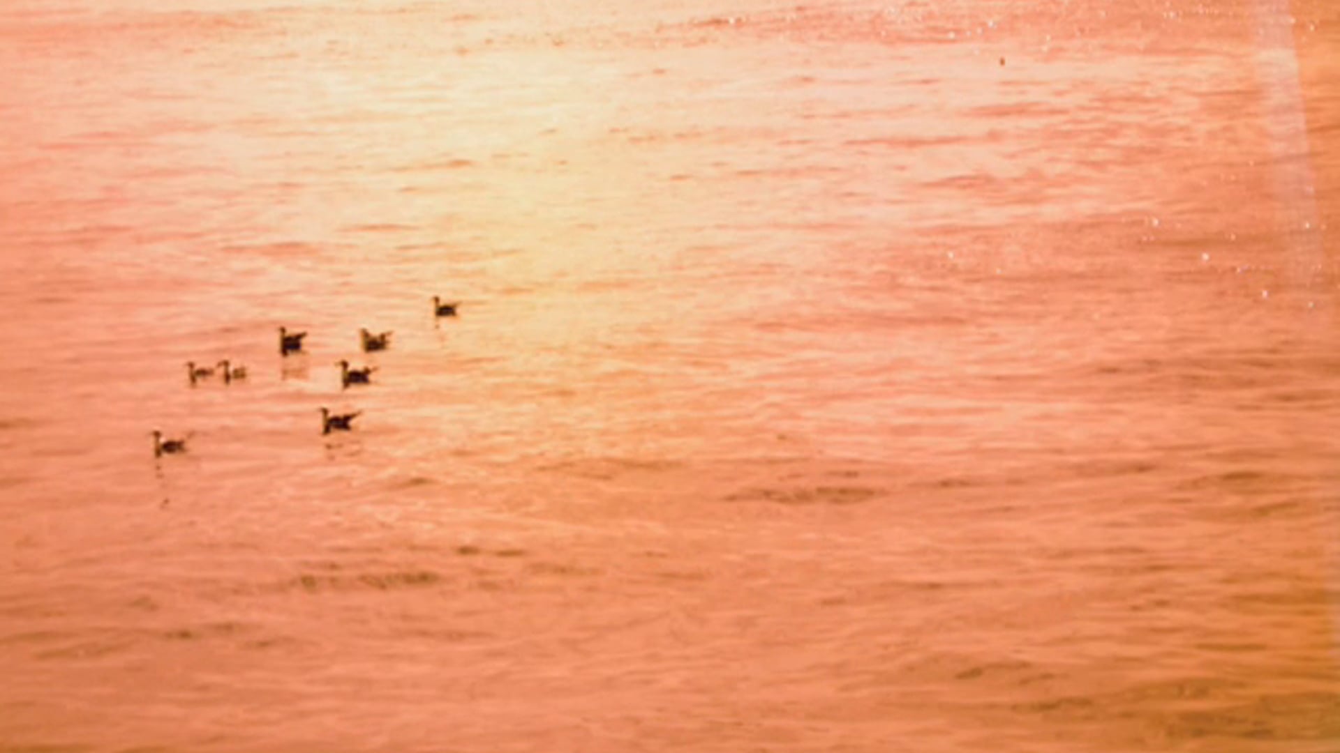 Brillia_ariake_sky_tower_movie__red