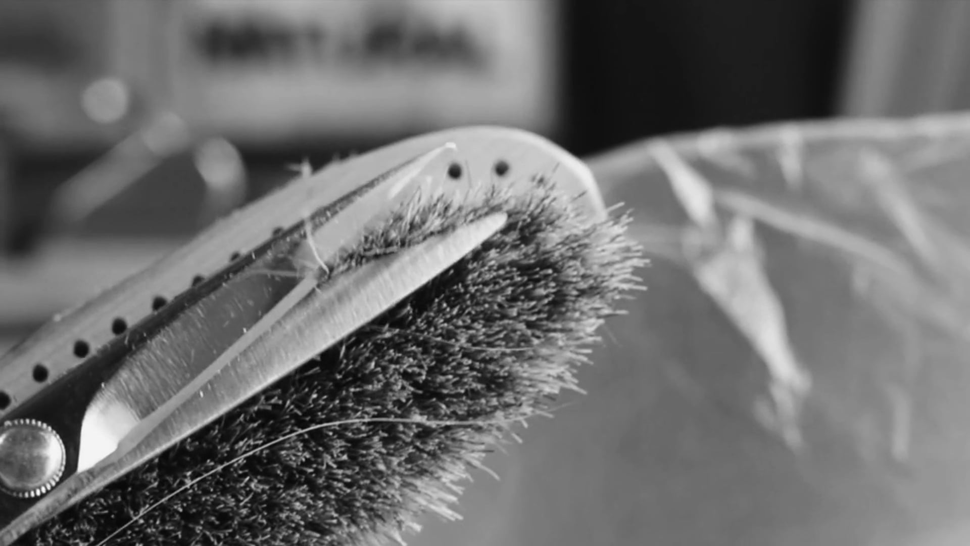 core:zo_ishikawa _burashi