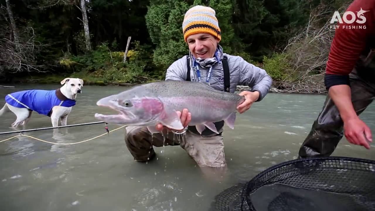 BC Steelhead & Coho Fly Fishing, Canada British Columbia on Vimeo