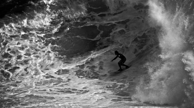 Shippies Carnage Compilation from HIGH VIEW Productions