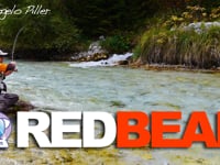 RedBead