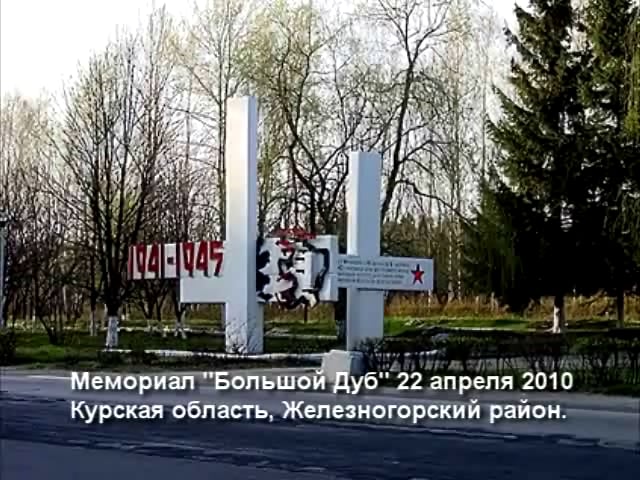 Большой дуб железногорск фото