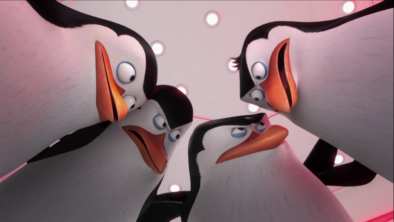 Penguins of Madagascar/Tutera