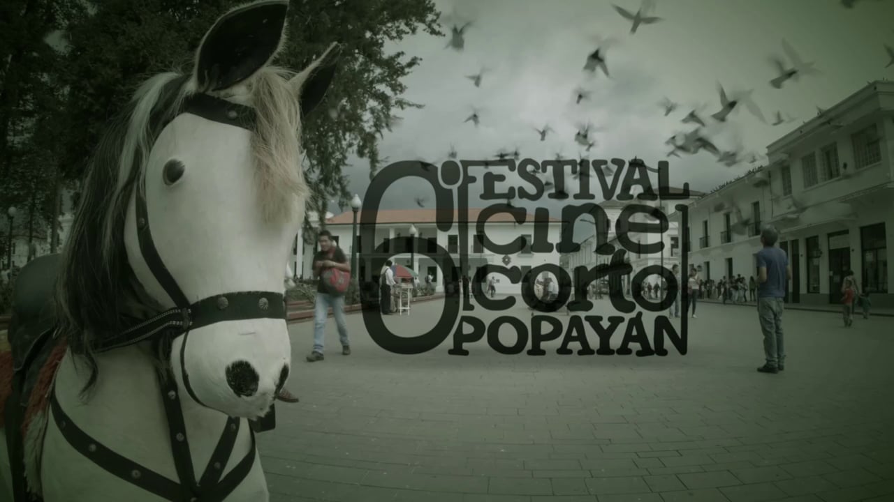 Festival de Cine Corto de Popayán 2014