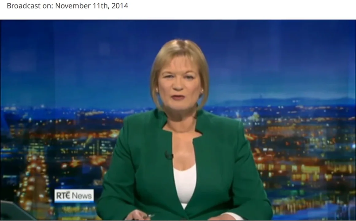 Hennessy Portrait Award 2014- RTE-News at 8, 11/11/14 on Vimeo