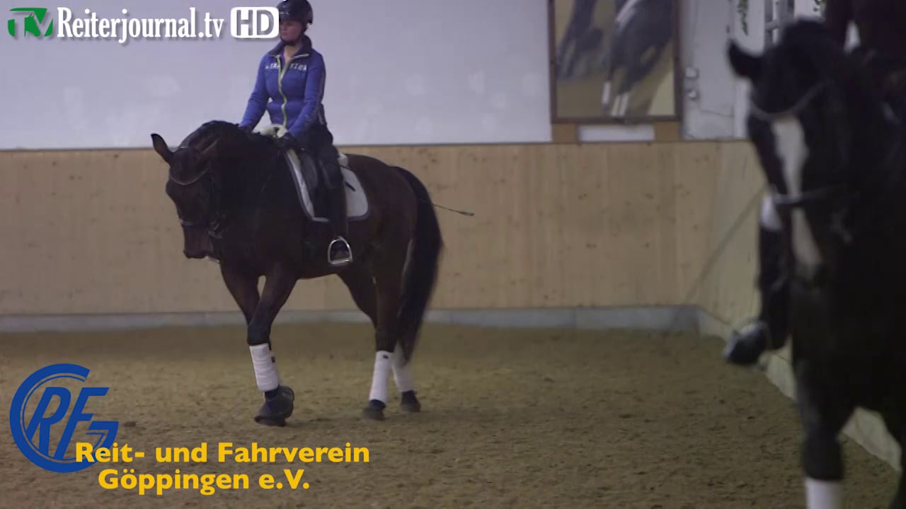 Göppingen, Lehrgang mit Isabell Werth - www.rv-goeppingen.de