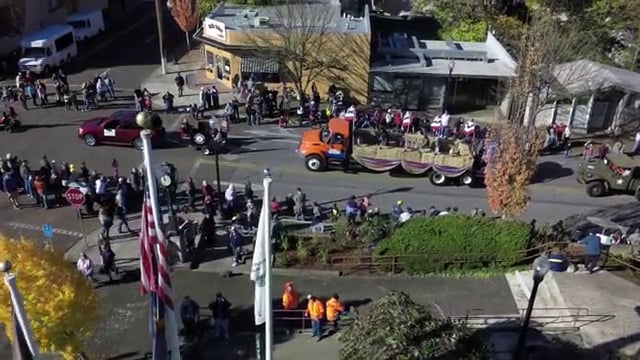 Background information on veterans day