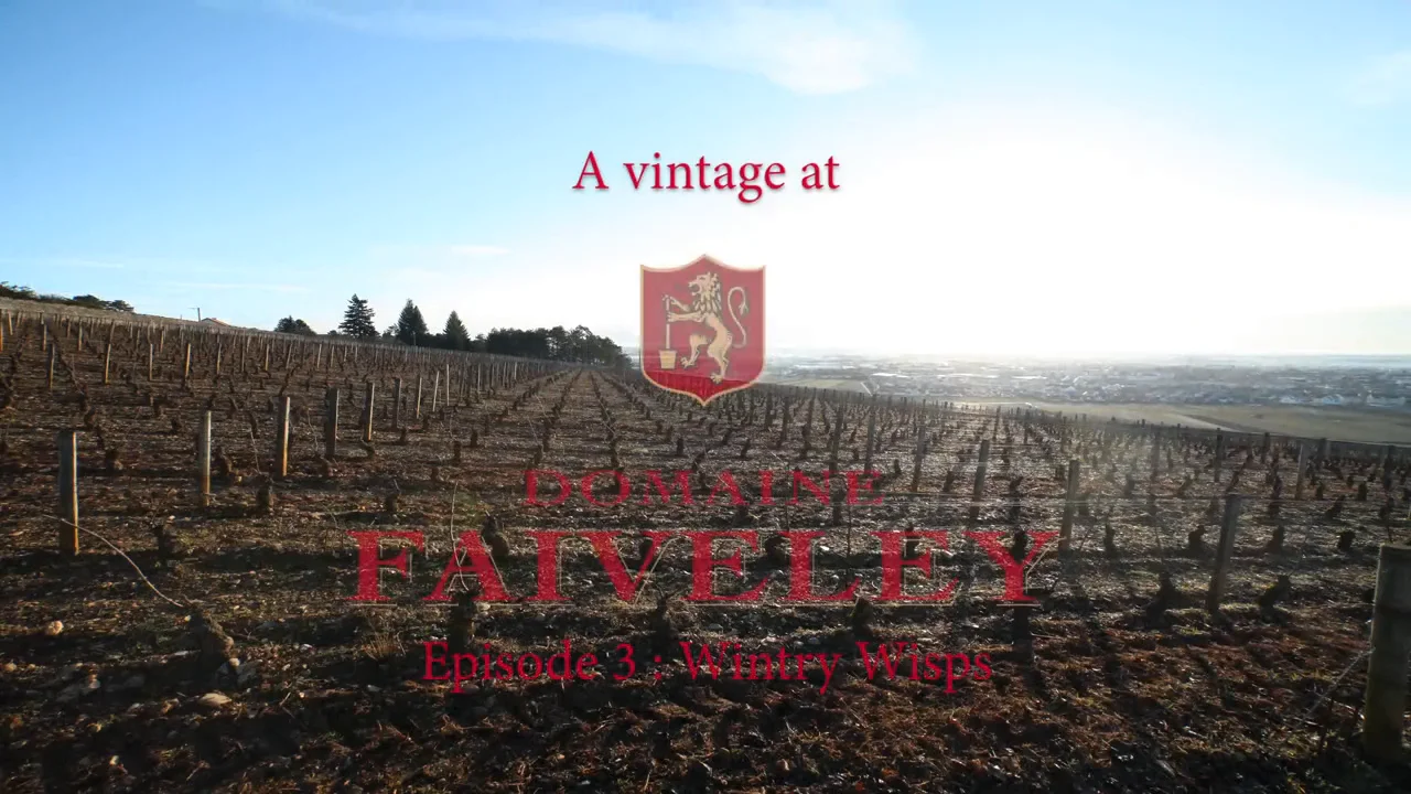 Domaine Faiveley Mercurey 1er Cru Clos de Myglands Monopole Domaine Faiveley Mercurey 1er Cru Clos de Myglands Monopole